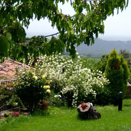 Lägenhet Cordobi El Raso